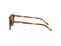 Ray-Ban Leonard Gafas de Sol RB 2193 954/33