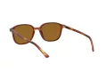 Ray-Ban Leonard Gafas de Sol RB 2193 954/33