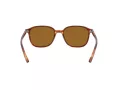 Ray-Ban Leonard Gafas de Sol RB 2193 954/33