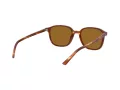 Ray-Ban Leonard Gafas de Sol RB 2193 954/33