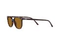 Ray-Ban Elliot Gafas de Sol RB 2197 902/33_52