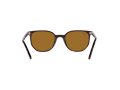 Ray-Ban Elliot Gafas de Sol RB 2197 902/33_52