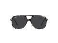 Ray-Ban Bill Gafas de Sol RB 2198 133348