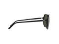 Ray-Ban Bill Gafas de Sol RB 2198 901/31