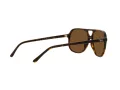 Ray-Ban Bill Gafas de Sol RB 2198 902/57