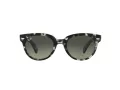 Ray-Ban Orion Gafas de Sol RB 2199 1333/71