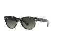 Ray-Ban Orion Gafas de Sol RB 2199 1333/71
