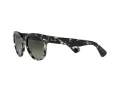 Ray-Ban Orion Gafas de Sol RB 2199 1333/71
