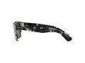 Ray-Ban Orion Gafas de Sol RB 2199 1333/71