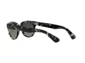 Ray-Ban Orion Gafas de Sol RB 2199 1333/71