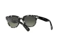 Ray-Ban Orion Gafas de Sol RB 2199 1333/71