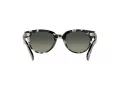 Ray-Ban Orion Gafas de Sol RB 2199 1333/71