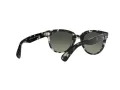 Ray-Ban Orion Gafas de Sol RB 2199 1333/71
