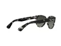 Ray-Ban Orion Gafas de Sol RB 2199 1333/71