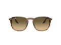 Ray-Ban Gafas de Sol RB 0RB2203 13920A_52