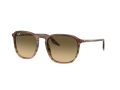 Ray-Ban Gafas de Sol RB 0RB2203 13920A_52