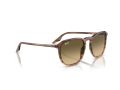 Ray-Ban Gafas de Sol RB 0RB2203 13920A_52