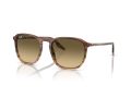 Ray-Ban Gafas de Sol RB 0RB2203 13920A_52