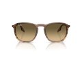 Ray-Ban Gafas de Sol RB 0RB2203 13920A_55
