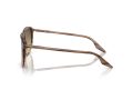 Ray-Ban Gafas de Sol RB 0RB2203 13920A_55