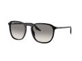Ray-Ban Gafas de Sol RB 0RB2203 901/32