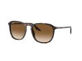 Ray-Ban Gafas de Sol RB 0RB2203 902/51_52