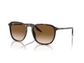 Ray-Ban Gafas de Sol RB 0RB2203 902/51_52