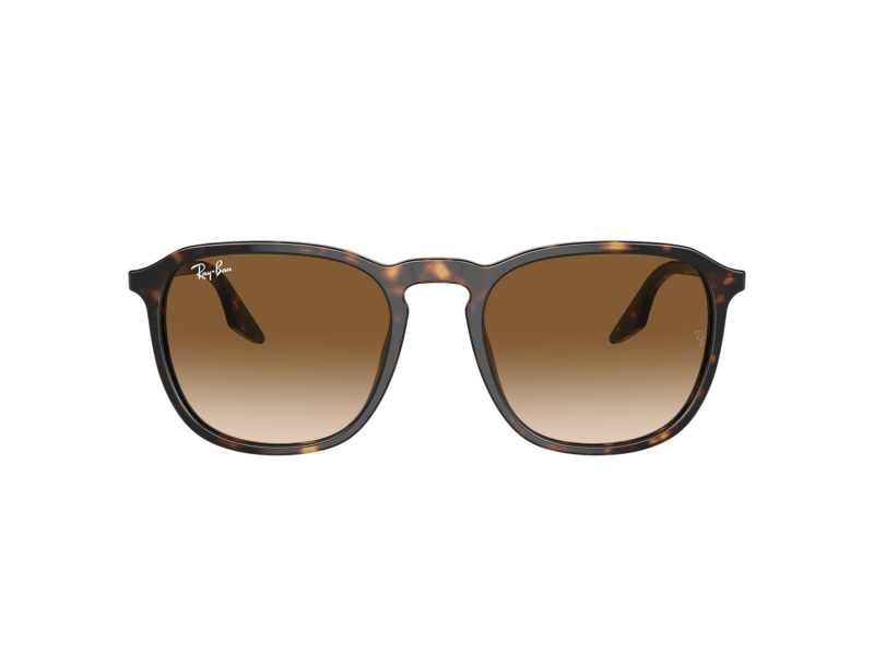 Ray-Ban Gafas de Sol RB 0RB2203 902/51