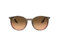 Ray-Ban Gafas de Sol RB 0RB2204 13953B_51