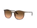 Ray-Ban Gafas de Sol RB 0RB2204 13953B_51