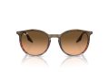 Ray-Ban Gafas de Sol RB 0RB2204 13953B_54