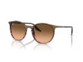 Ray-Ban Gafas de Sol RB 0RB2204 13953B_54