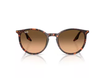 Ray-Ban Gafas de Sol RB 2204 14293B_51