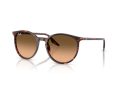 Ray-Ban Gafas de Sol RB 2204 14293B_51