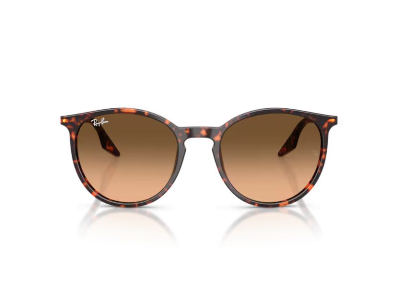Ray-Ban Gafas de Sol RB 2204 14293B