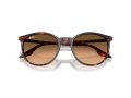 Ray-Ban Gafas de Sol RB 2204 14293B_54