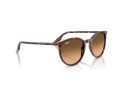 Ray-Ban Gafas de Sol RB 2204 14293B_54