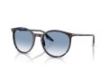 Ray-Ban Gafas de Sol RB 2204 14303F_54