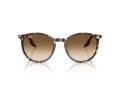 Ray-Ban Gafas de Sol RB 2204 143151_51