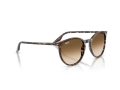 Ray-Ban Gafas de Sol RB 2204 143151_51