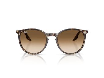 Ray-Ban Gafas de Sol RB 2204 143151_54