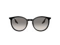 Ray-Ban Gafas de Sol RB 0RB2204 901/32_54