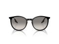 Ray-Ban Gafas de Sol RB 0RB2204 901/32_54