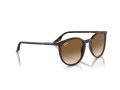 Ray-Ban Gafas de Sol RB 0RB2204 902/51_51