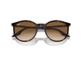 Ray-Ban Gafas de Sol RB 0RB2204 902/51_51