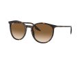 Ray-Ban Gafas de Sol RB 0RB2204 902/51_54