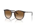 Ray-Ban Gafas de Sol RB 0RB2204 902/51_54