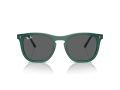 Ray-Ban Gafas de Sol RB 2210 6615B1