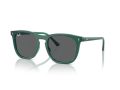 Ray-Ban Gafas de Sol RB 2210 6615B1