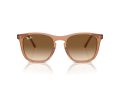 Ray-Ban Gafas de Sol RB 2210 676451